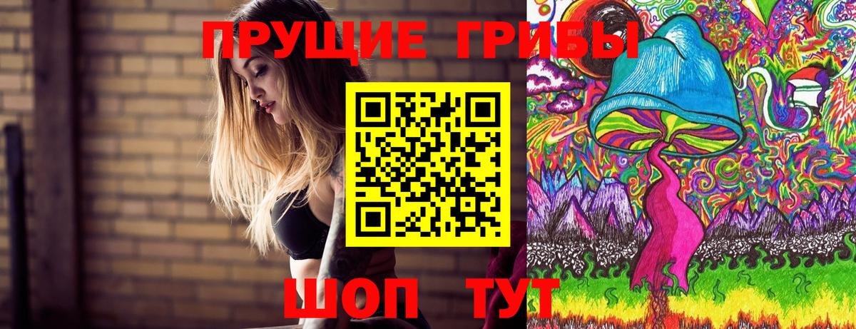 Новоуральск  Псилоцибиновые грибы MAGIC MUSHROOMS  Вход с VPN 